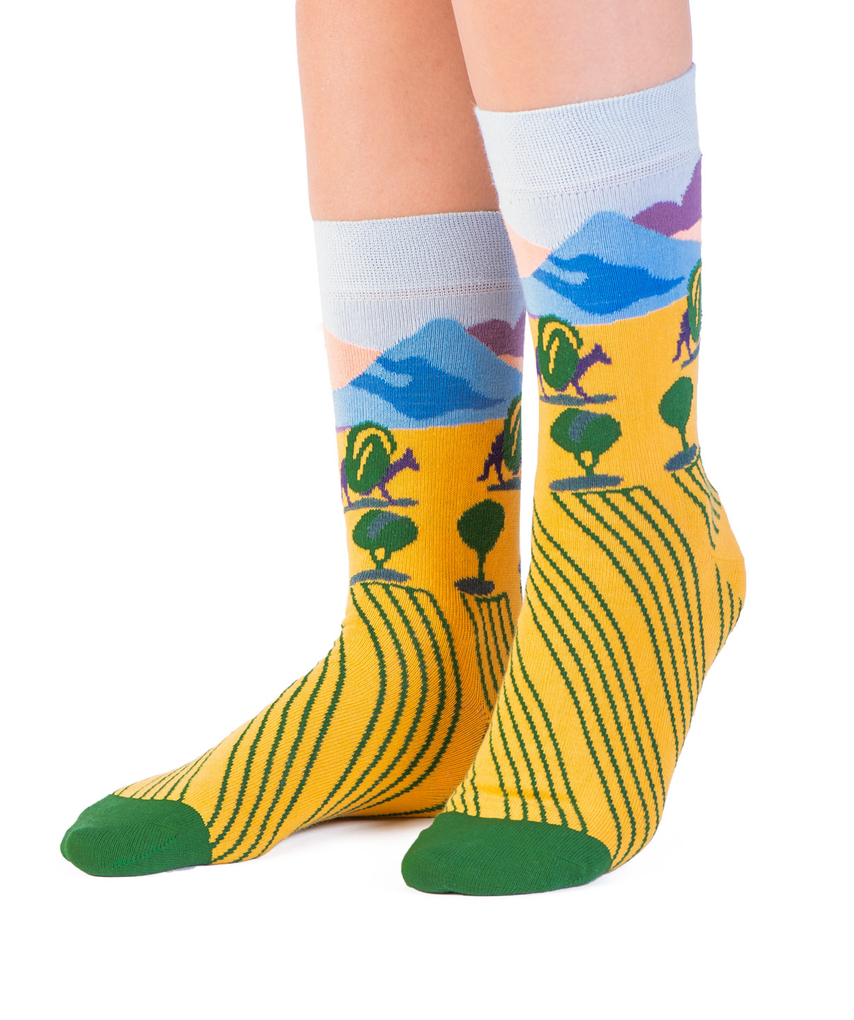 Носки `Art socks` с канвой `Пейзаж`