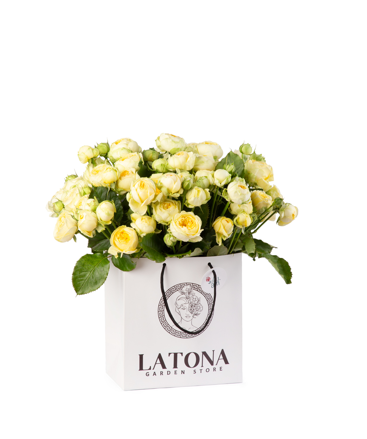 Կոմպոզիցիա «Louis Vuitton» պիոն վարդերով