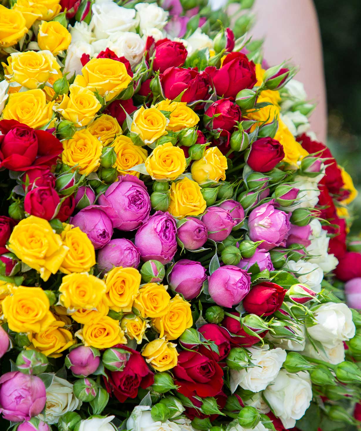 Ծաղկեփունջ «Անոյա» փնջային վարդերով, 70 սմ