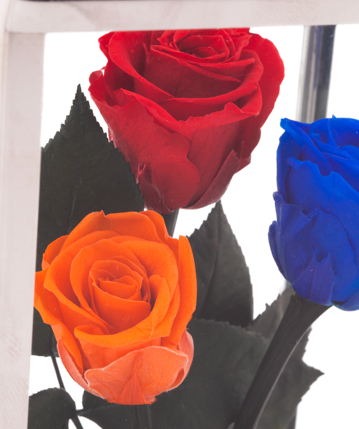 Roses `EM Flowers` eternal tricolor 18 cm in a flask