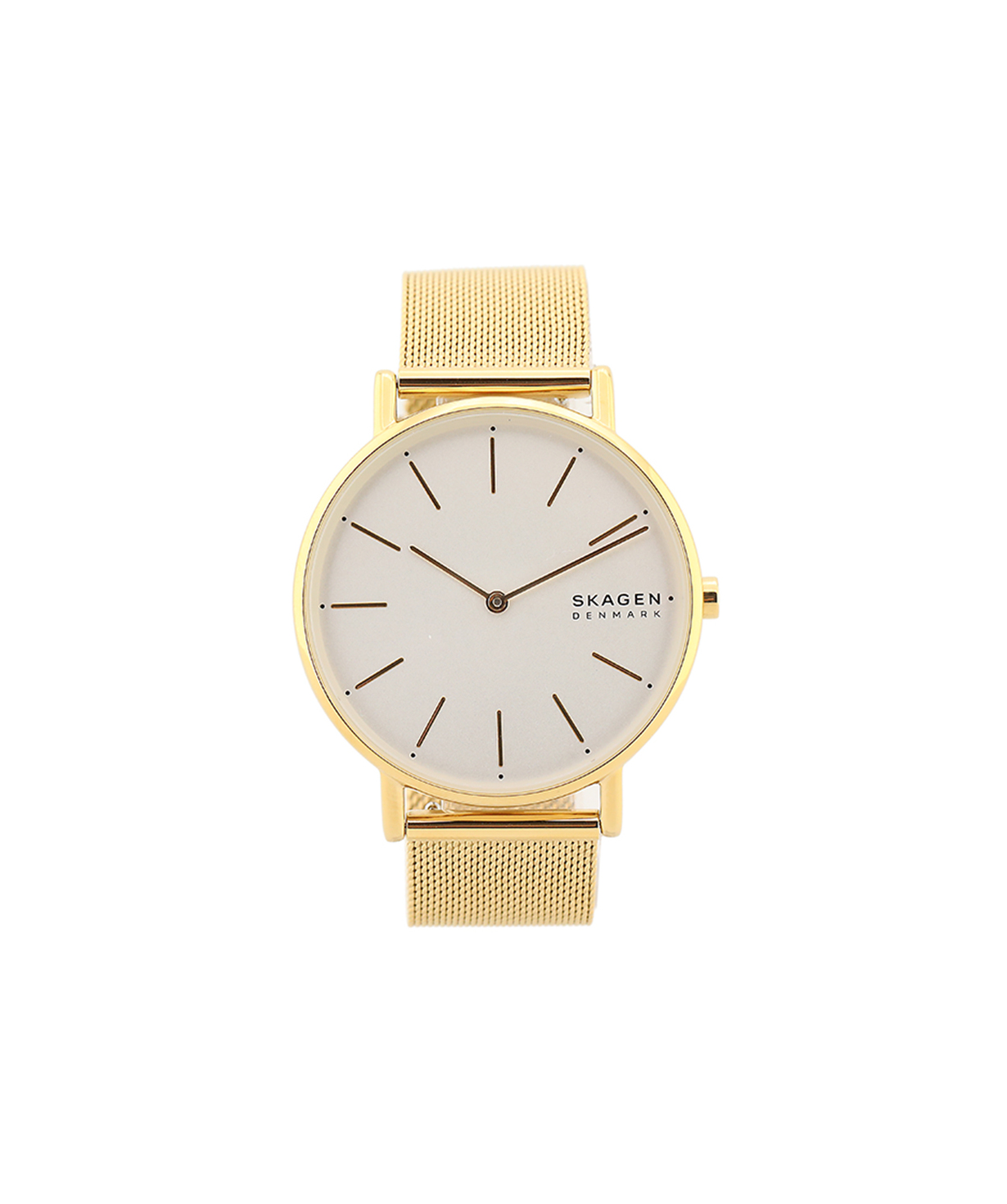 Wristwatch `Skagen` SKW2795