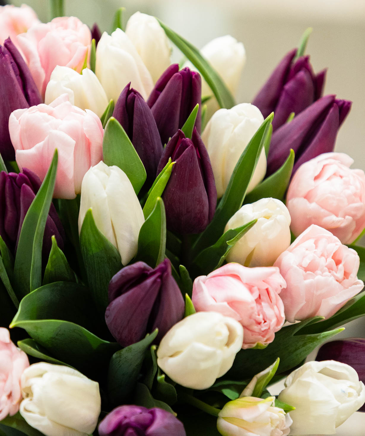 Ծաղկեփունջ «Aveyron» կակաչներով