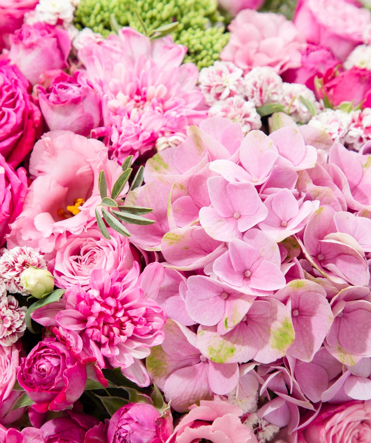 Կոմպոզիցիա «Arpis flowers» հորտենզիաներով №20