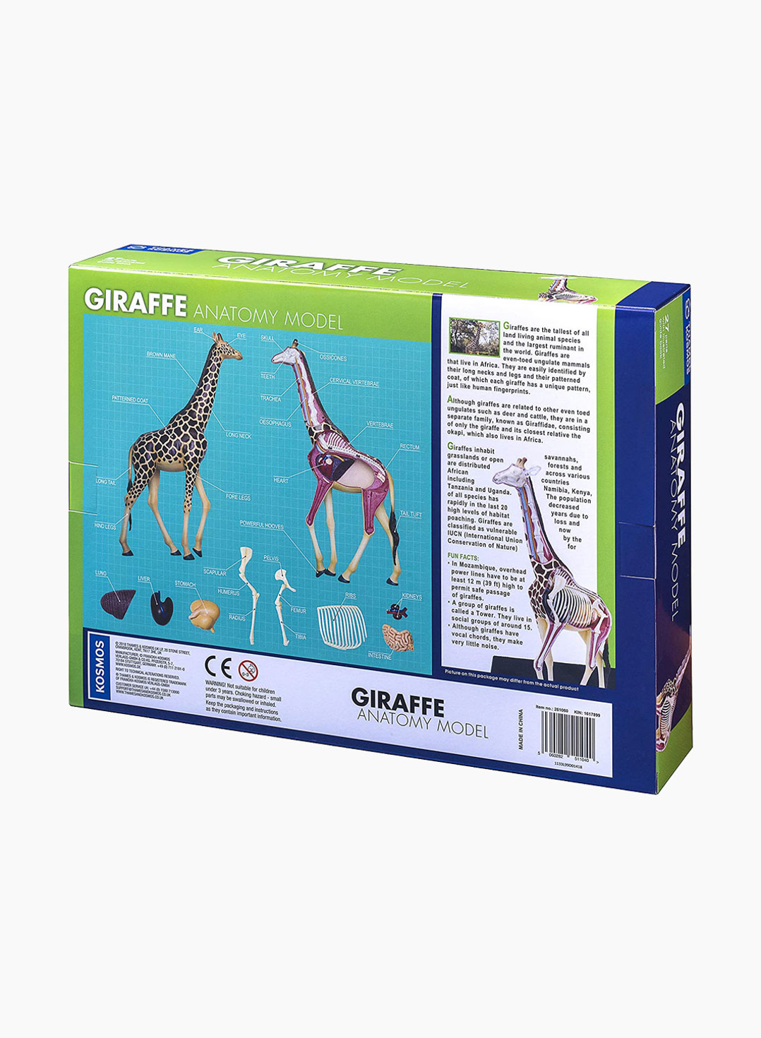 THAMES & KOSMOS Educational Game Animal Anatomy: Giraffe