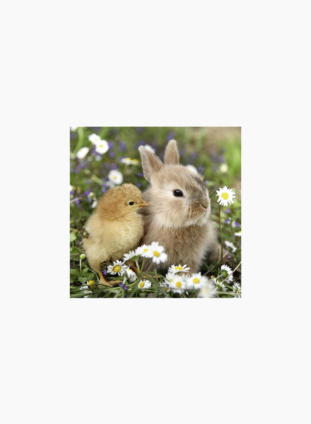 Ravensburger Puzzle Cute Bunnies 3x49p