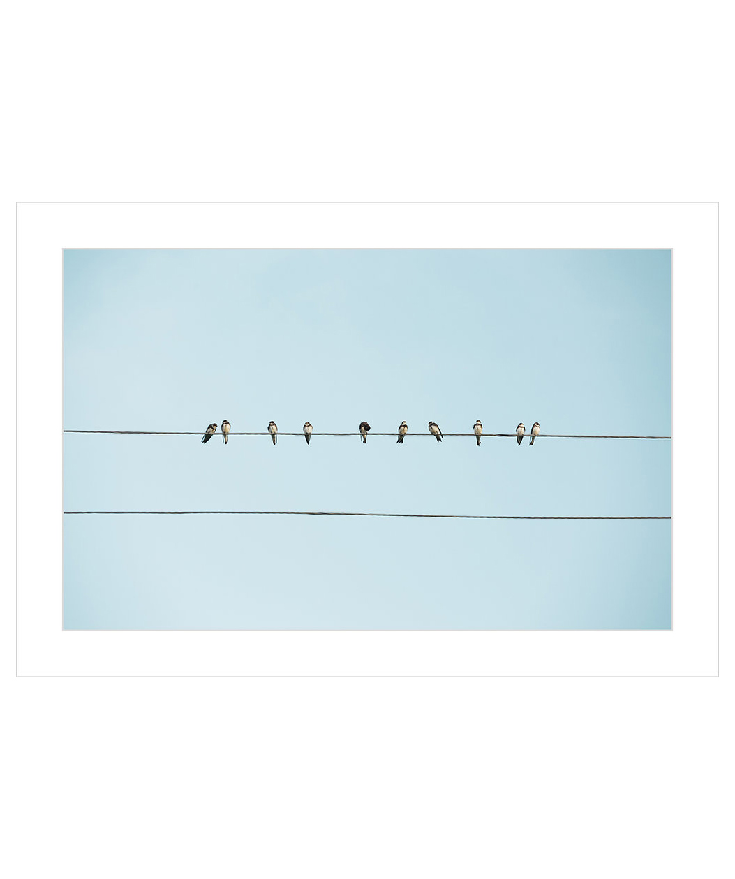 Art-print ''Birds on Wires in Rural Armenia''