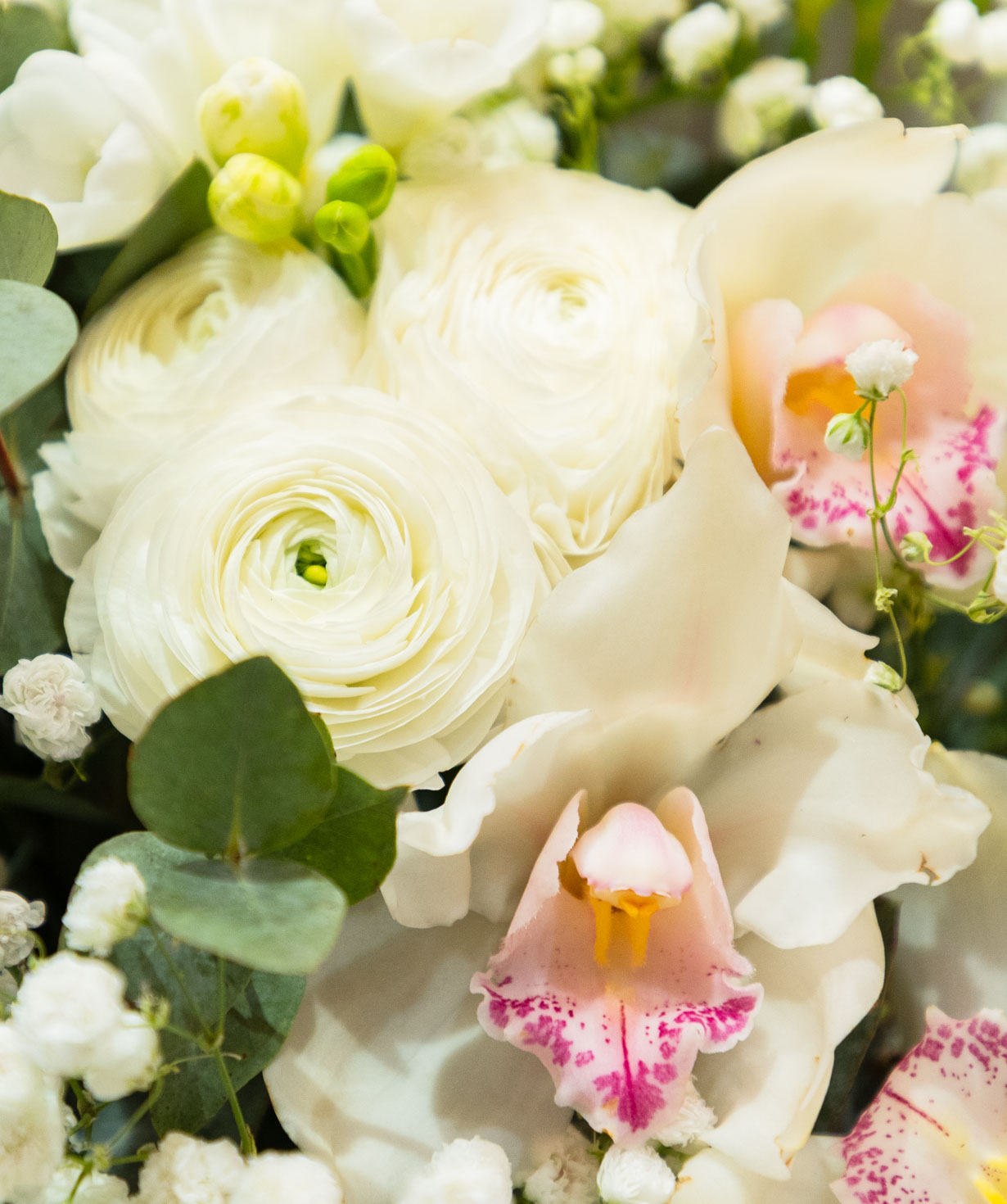 Букет «Aude» с фрезиями и орхидеями