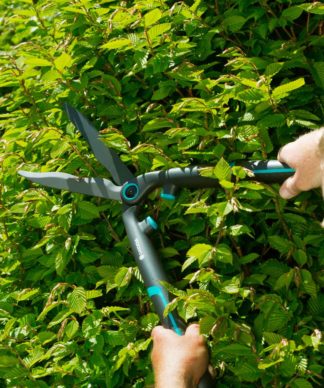 Bush trimmer «Gardena» EasyCut