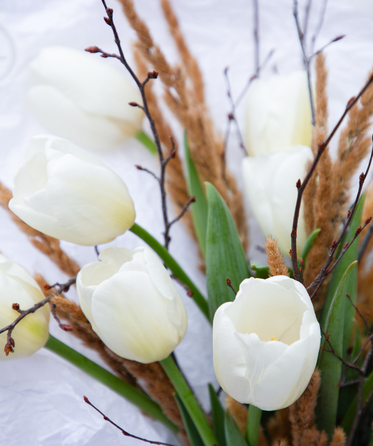 Bouquet «Antikyra» with tulips