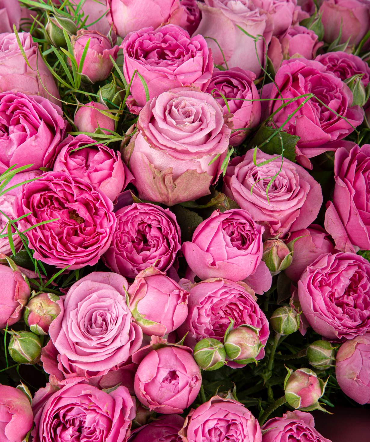 Ծաղկեփունջ «Օլբորգ»  վարդերով և պիոնավարդերով