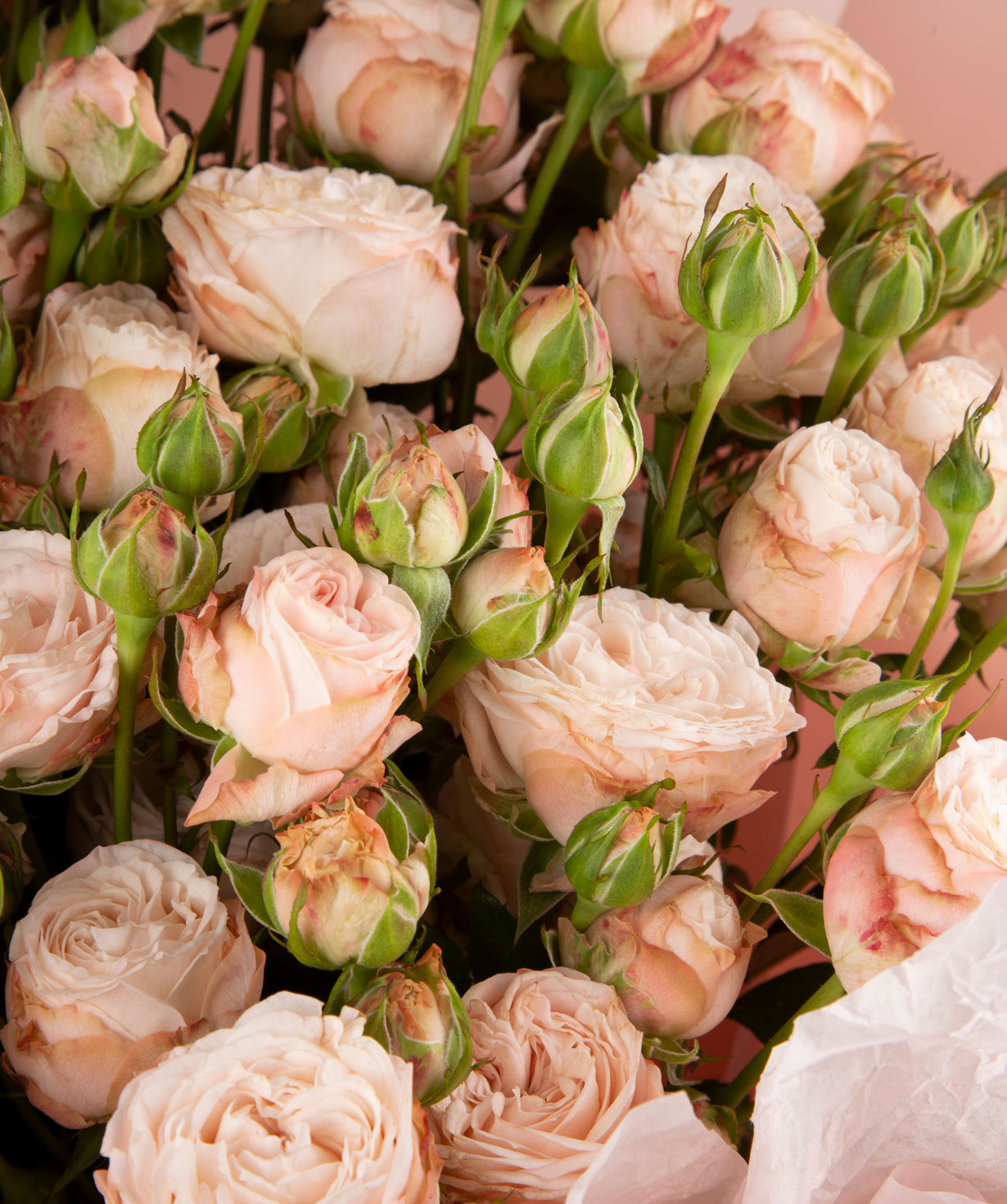 Ծաղկեփունջ «Բեդիան» փնջային վարդերով