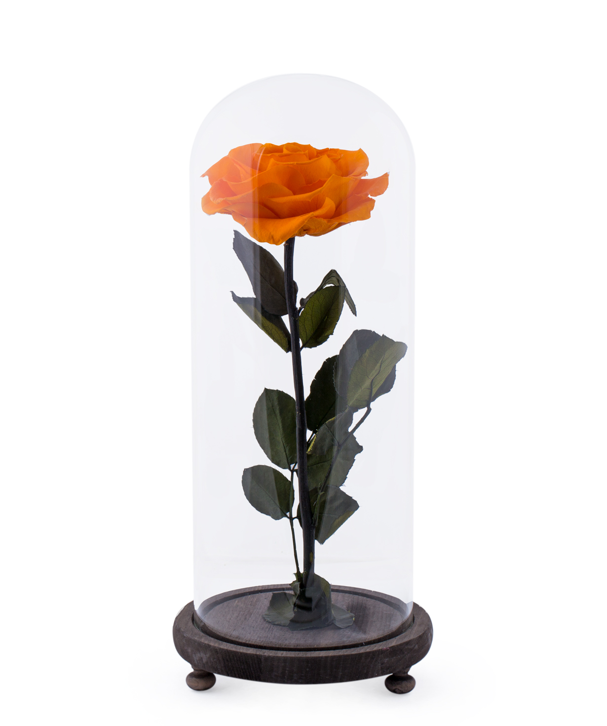 Роза `EM Flowers` вечная оранжевая 33 см